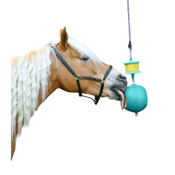 Krmivo pro koně Držák na liz Likit kombinovaný Boredom Beaker aqua