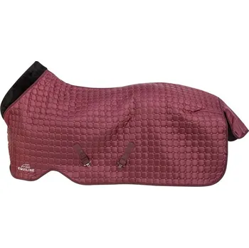 Deka pro koně Deka Equiline stájová 200g Adonis 145cm vínová