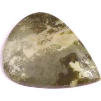 Korálek Kabošon Epidote Jasper č.1648 (44x34x6mm)