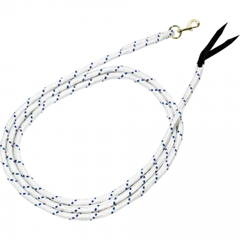 Vodítko Busse Profi 4,2m