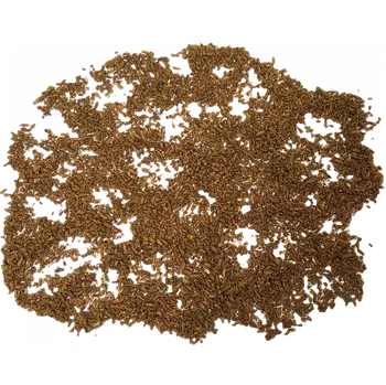 Koření Tinktur - Kmín drcený 150 gramů (Český Kmín drcený 150g)