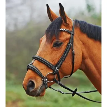 Nánosník Busse anglický kombinovaný cob černá