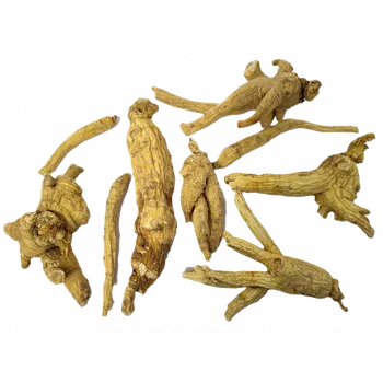 Koření Tinktur - Ženšen pravý kořen celý 100g (Ženšen kořen celý 100g)