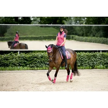 Koňská maska proti hmyzu Čabraka HKM Santa Rosa cob růžová/tmavě modrá