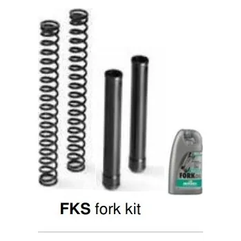 Matris Dampers Itálie BMW F 900R (K83) 20/24 Náboje předních vidlic ''fork cartridge kit'' FKS