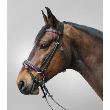 Vybavení pro koně Uzdečka Waldhausen Diamond shetland černá/růžová