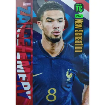 Sběratelská karetní hra Warren Zaire-Emery