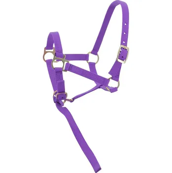 Vybavení pro koně Hříběcí nastavitelná ohlávka nylonová fialová