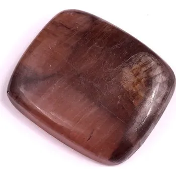 Přírodní kámen Kabošon Chiastolite Jasper č.1813 (27x23x6mm)