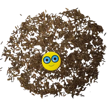 STEZA - Kmín plod celý 150g (Kmín celý 150g)