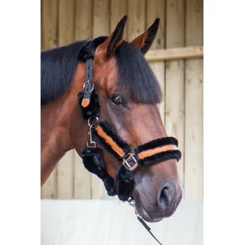 Ohlávka Pénélope nylon/kůže/beran cob černá