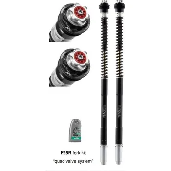 Matris Dampers Itálie BMW R 1200 R (K53) 15/18 Náboje předních vidlic ''fork cartridge kit'' F25R