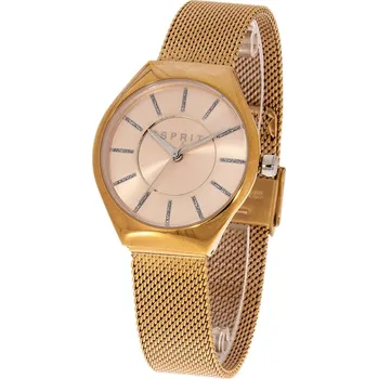 Módní doplněk Esprit ES1L004M0055