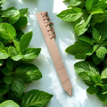 Semeno Cedulka na bylinky Bylinka: Petržel