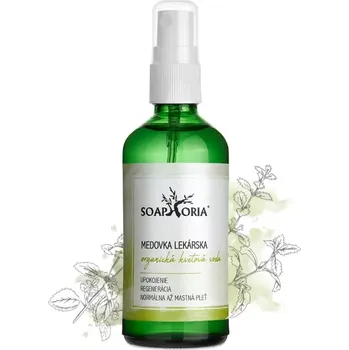 Meduňka lékařská - organická květová voda 100ml - obnova rovnováhy