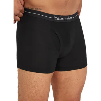 Pánské spodní prádlo Outdoorové spodní prádlo Icebreaker Merino 175 Everyday Thermal Boxers wFly S