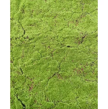 umělá květina Umělá živá zelená stěna MECH LUXE, 100 x 100cm