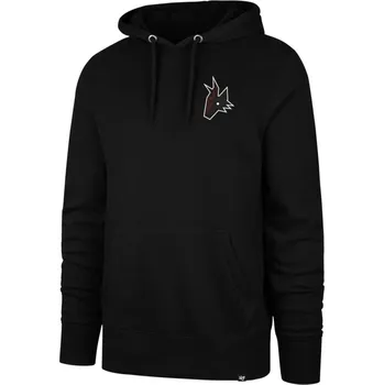 Pánská mikina Pánská mikina 47 Brand NHL Arizona Coyotes Imprint Backer 47 BURNSIDE Hood S