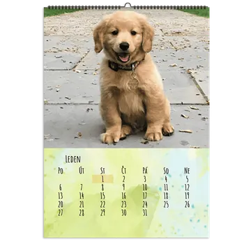 Fotokalendář Nástěnný Fotokalendář 2026, A3 na výšku, Kvalitní fotopapír a kovová spirála, Jednoduchý editor. Motiv Hafíci