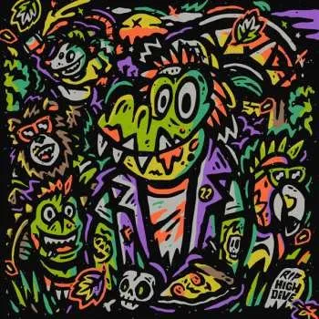 Zahraniční hudba LP Various: The Fest 22 Comp 2025