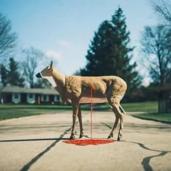 Zahraniční hudba LP Wayne Graham: Bastion Ltd. 2024