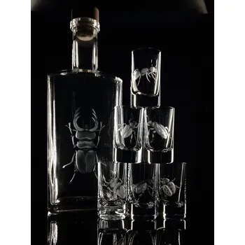 Sklenice Lahev 0,5l a 6ks sklenek motivy brouků - ručně ryté (broušené), dárková krabička