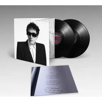 Zahraniční hudba 2LP Peter Perrett: The Cleansing 2024