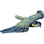 Trojrozměrná maketa dravce HARMONY - 510 mm x 350 mm