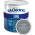 univerzální barva Balakryl Uni mat 700 g