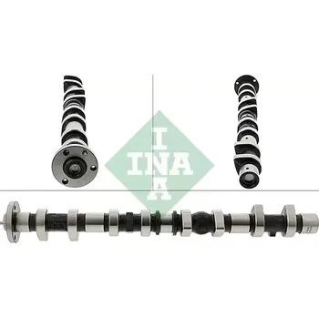 Rozvod motoru INA Vačkový hřídel IN 428018410