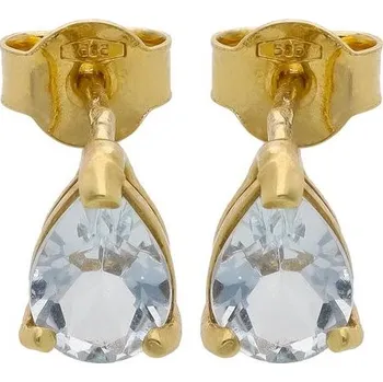 Náušnice Zlaton Náušnice žluté zlato 1.4g 001903110186