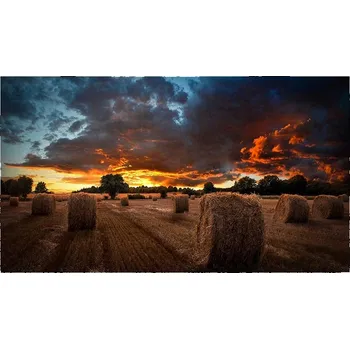 Monitor SAMSUNG LFD 46" - LH46VMBUBGBXEN Video wall