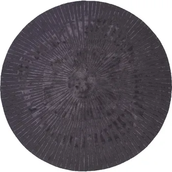 Koberec Fargotex Tmavě šedý kulatý koberec Radius 200 cm