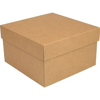 Úložný box úložná krabice s víkem 300x300x250 mm, kraftová