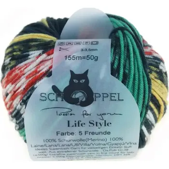 Příze Schoppel wolle Life Style 2320 5 Freunde (Příze Life Style 2320 5 Freunde)