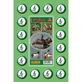 Pexeso Pexeso - Ptáci 2