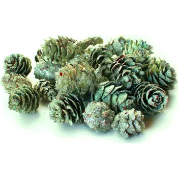 Vánoční dekorace Šišky malé mátové glitr - 50 g