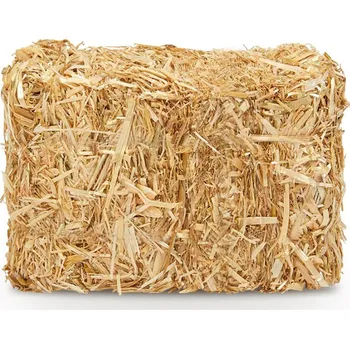 Krmivo pro hlodavce PROFIZOO Ovesná sláma 300l (2025)