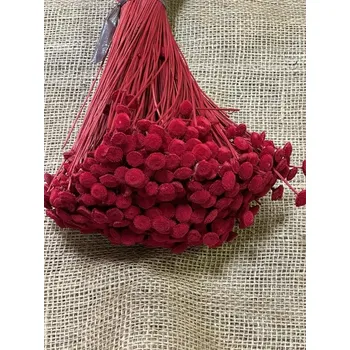 Vánoční dekorace Botao XL červená balení 45cm