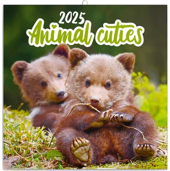 Kalendář Presco Poznámkový kalendář Mláďata 2025, 30 × 30 cm