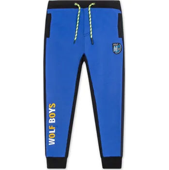 Chlapecké tepláky - Wolf T2277C, modrá Barva: Modrá, Velikost: 110