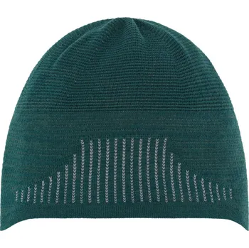 Pokrývka hlavy Zimní čepice EISBÄR Strive Beanie T 2 adv. green-astro grey-adv.gree