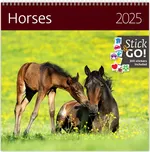 Helma365 Nástěnný kalendář Horses 2025