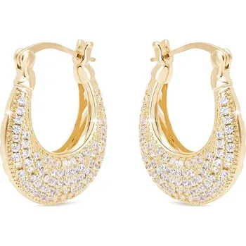 Náušnice Biju Pozlacené náušnice 14K, kruhy se zirkony 1003217