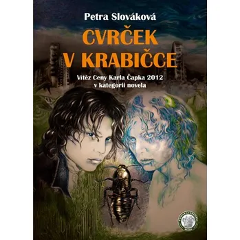 Umění Cvrček v krabičce