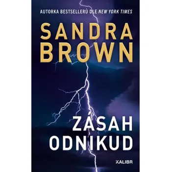 Zásah odnikud - Sandra Brownová (2024,…