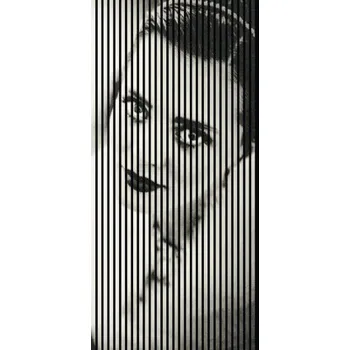 akustický panel Designový akustický panel DIGI03L 19x1133x2400 mm