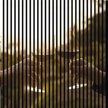 akustický panel Designový akustický panel DIGI05L 1133x19x1195 mm