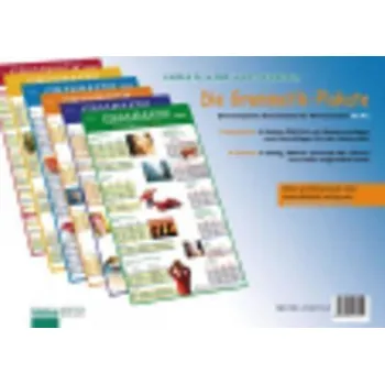 Německý jazyk Grammatik Plakate: Plakate mit Übungsheft - Renate Luscher