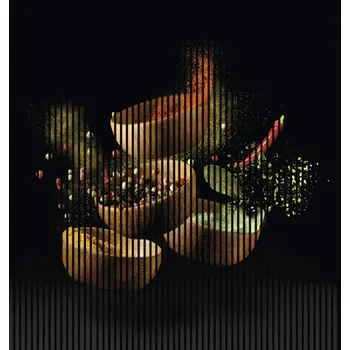 akustický panel Designový akustický panel DIGI05H 2253x19x2400 mm